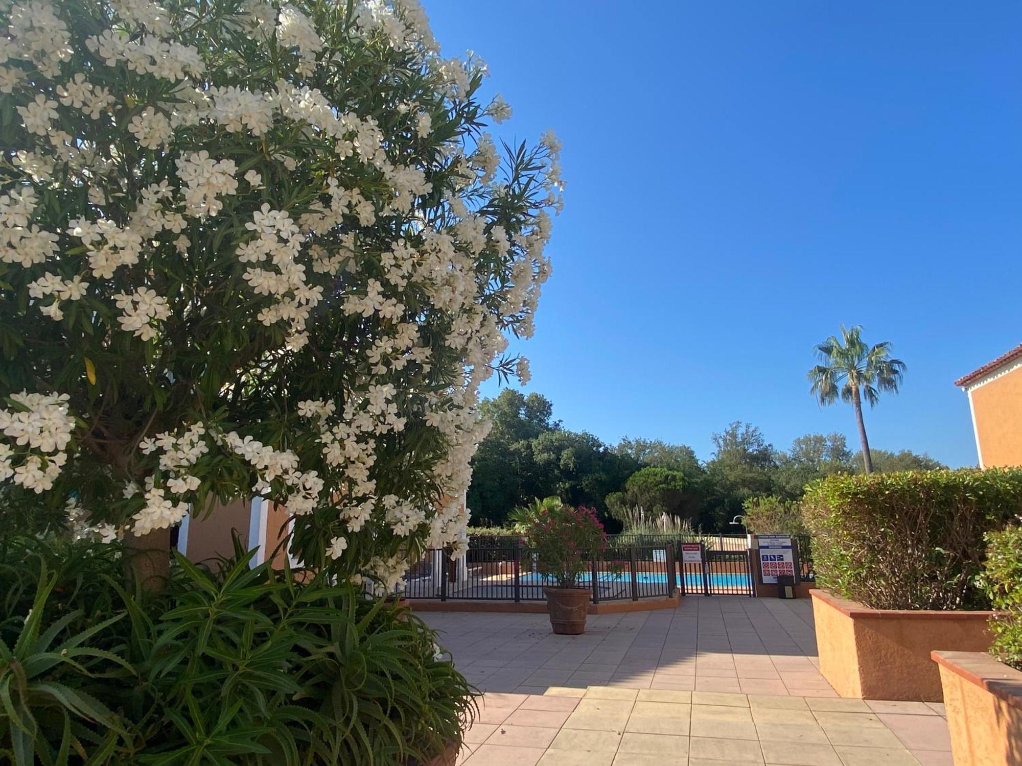 2 Bedrooms, 15 Min Walk To Beach, Ac, Pool & Fiber Internet In A Quiet, Private Gated Domain 5Kms To St Tropez Cogolin Bagian luar foto