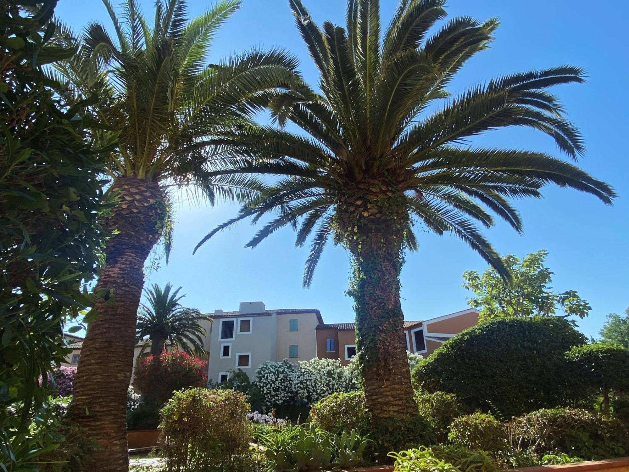 2 Bedrooms, 15 Min Walk To Beach, Ac, Pool & Fiber Internet In A Quiet, Private Gated Domain 5Kms To St Tropez Cogolin Bagian luar foto